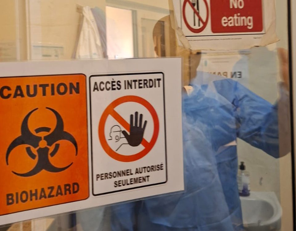 Strengthening One Health Laboratory Systems in the CEMAC Region
